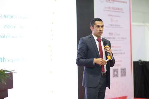 与智利美食的旅行，从这里开始不结束！