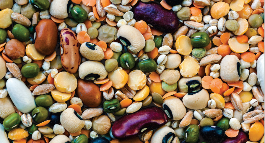 加拿大艾伯塔省农业投资机会介绍及农产品贸易推介报名广州中食展