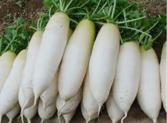 应季而食很重要！3月初，这5种蔬菜能不吃就不吃！