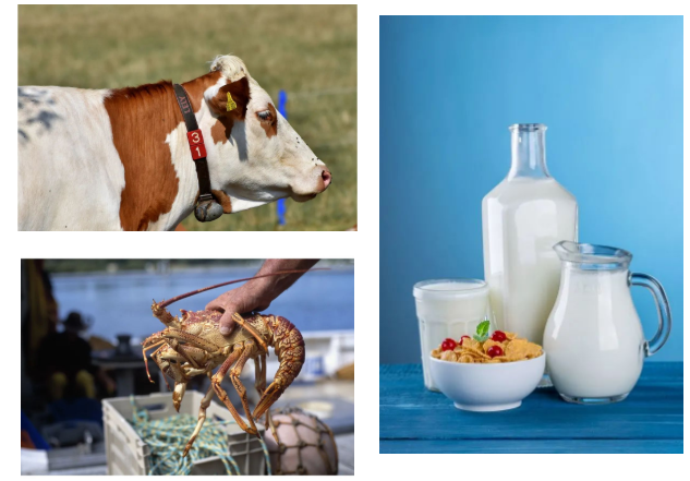 “澳大利亚已跟中国达成协议”，新一轮的贸易契机开启