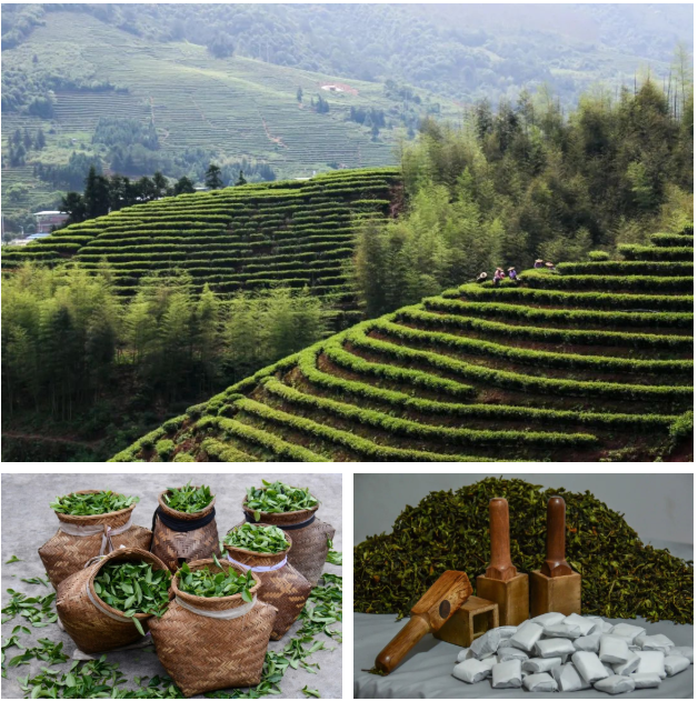 中食展（广州）福建龙岩展团：三江发源，闽西客家独特风味！