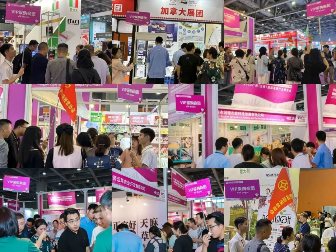 新年新开局！共赴2024中食展®广州(Food2China Expo)“热辣滚烫”新征程