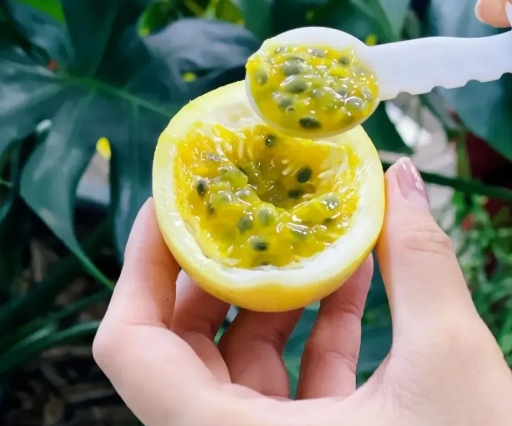 展商推荐|茂名市农业农村产业协会邀您共聚2024中食展®广州