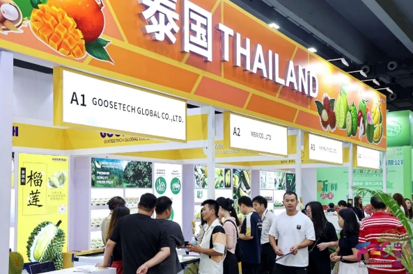 大牌云集，食饮荟萃——2024中食展®（广州）开启新“食”代