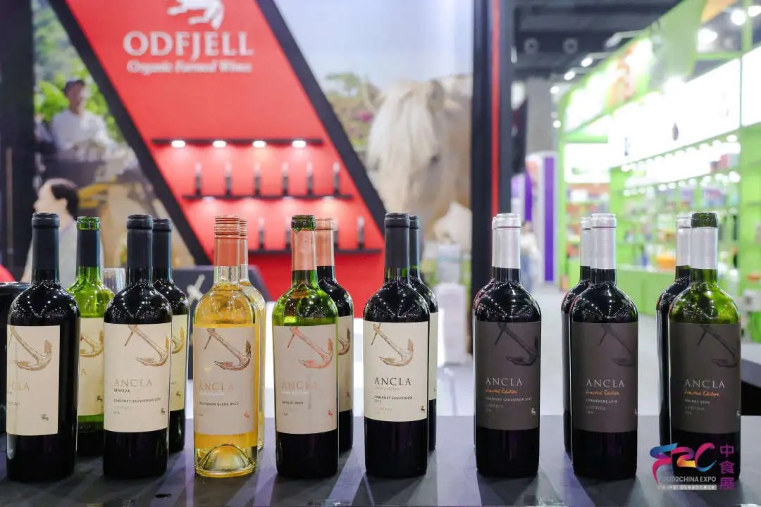 2025中食展®广州赋能食品企业全链路增长！