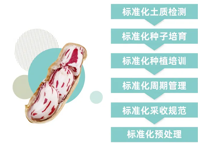 傣御农业七彩花生登陆F2C广州中食展，适配商超/餐饮/旅游/电商零售/企业团购！