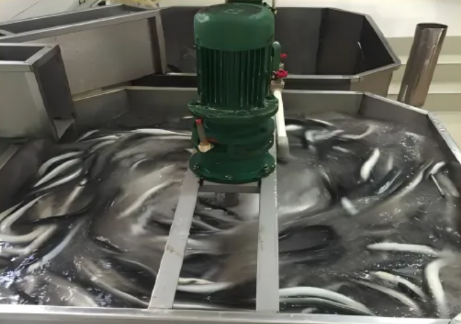 抢“鳗”品货源！鳗鱼皇后29年品质鳗鱼，赋能餐饮招牌菜、零售爆品就在9月F2C中食展