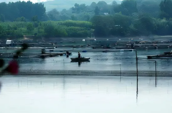 抢“鳗”品货源！鳗鱼皇后29年品质鳗鱼，赋能餐饮招牌菜、零售爆品就在9月F2C中食展