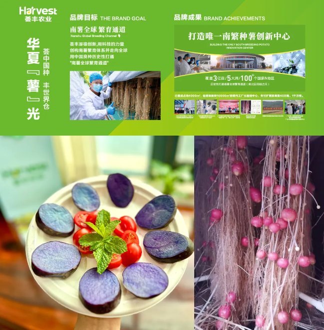 农业科技+全球优品！天河展团亮相F2C广州中食展，邀您共鉴多元臻品！